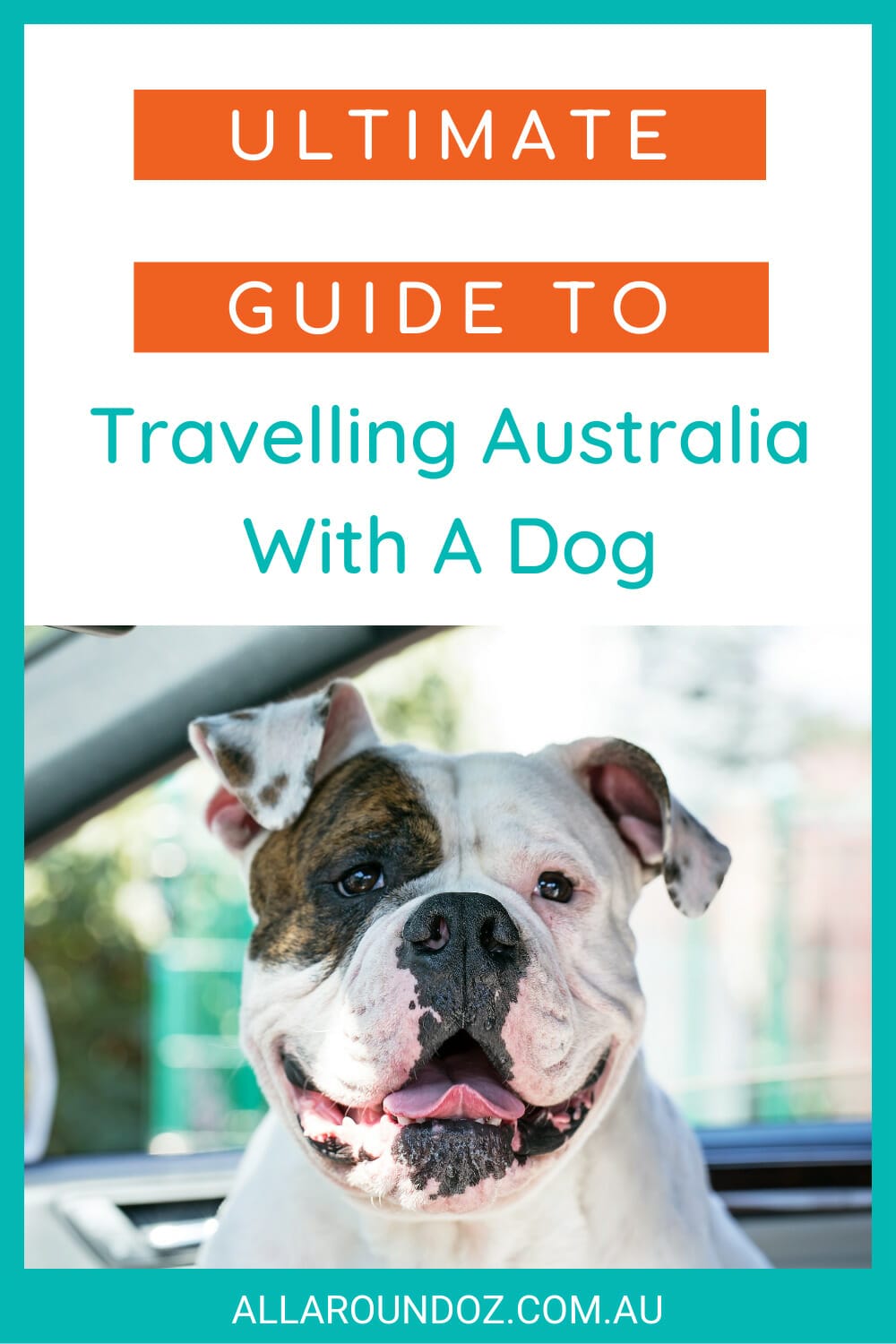travelling around australia with a dog